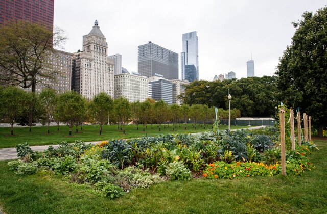 Urban Agriculture: The Potential for Food Production in Cities