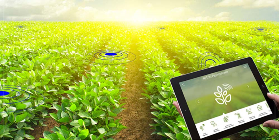 The Future of Food: How Technology is Revolutionizing Agriculture